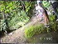 IL TUFFO