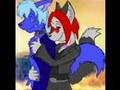 Cute furry couples