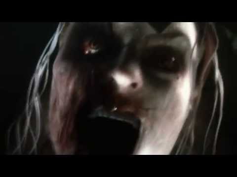 Vidéo 1
