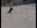 videos de Johan SL 2 2008-11-15