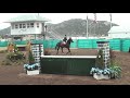 cynthia riding kiss me i'm dutch august 3rd in the hunter derby handy round. of course with her own style!