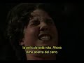 El Efecto Mariposa (Parte 2/11 subtitulado)