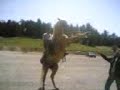 Cheval