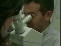  2003  facultad ciencias experimentales  huelva 