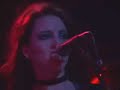 Bang Sugar Bang - Posh Kids