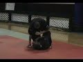 James Hawkins Kenpo Seminar Part 1