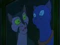 Felidae - Scared