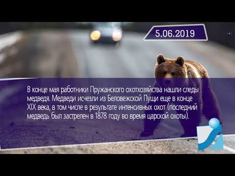 Новостная лента Телеканала Интекс 05.06.19.