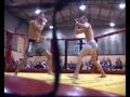 Gunnar Nelson vs Niek Tromp