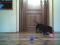 Maur the goalkeeper