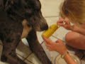 goblin-eats-his-veggies.html