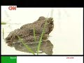 IRRI featured on CNN\ IRRI featured on CNN\