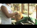 Wildlife Garden : Sowing Seeds