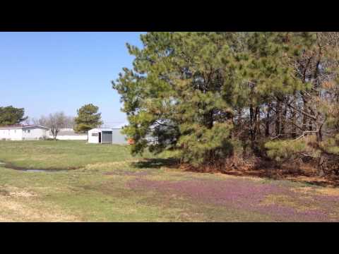 9.03 acres Willards, MD