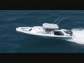 10m Naiad RIB