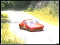 auto-slalom x19 Cerroni