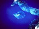 Galapagos
