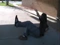 boneless wall plant down a six set