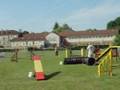 videos de Australe: 1er parcours en concours d'agility