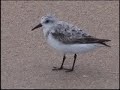 Topsail Beach 2006