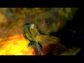 \"Strolling Through Graves\" - Music Machinima \"Strolling Through Graves\" - Music Machinima