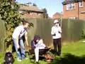 videos de the first wheelbarrow and bush andrew luke ben and marc