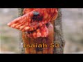 Isaiah 53