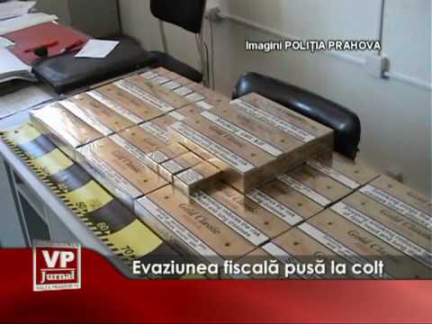 Evaziunea fiscala pusa la colt