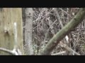 Pennsylvania Archery Season 2009 Nov 10 - 14