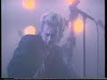 Stray Cats - Blue Suede Shoes Stray Cats - Blue Suede Shoes
