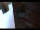 Lockset 2