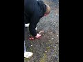 Click here to watch this video La Bomba vs Topf