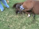 Bobbi giving birth