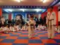 taekwondo stf (won martial arts) jimena won