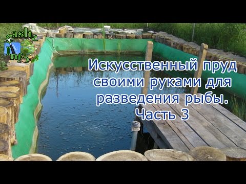 Как сделать искусственные пруды для рыбы Как сделать искусственные пруды для рыбы