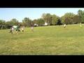 videos de Ultimate Sampler