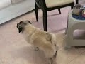 mimi 4 mimi 4