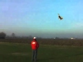 * EDF * Hovering Sebart Mig 29