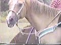Riding a friend\