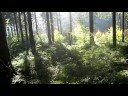 Pirschfotograf 3 Pirschfotograf 3
