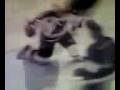 videos de New Jersey Devils 4