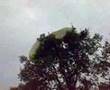 Paramotor boomlanding