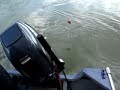 Pescaria de Robalo parte 3