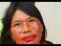 Amazing Amazonas