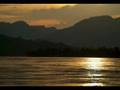 Amazing Amazonas