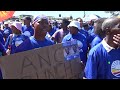 chief albert luthuli biography chief albert luthuli biography