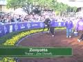 Zenyatta in the paddock before the 2009 Breeders Cup Classic