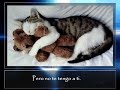 TENGO GANAS