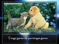 TENGO GANAS