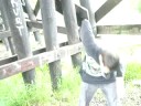 Stick to the Back